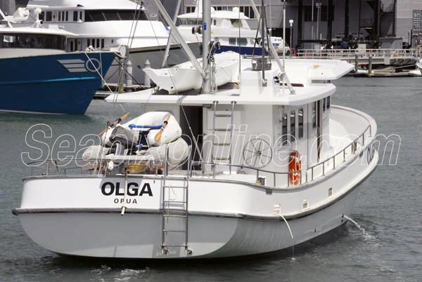 Olga ID 4414